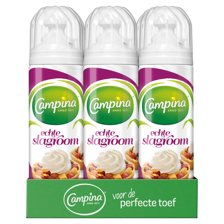 Campina Room Slagroom Echte 6 x 250g