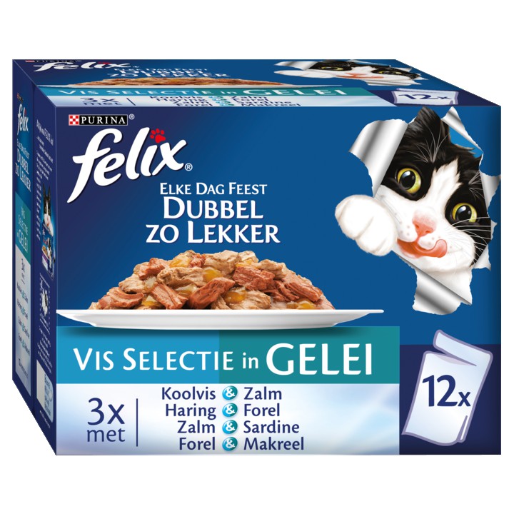 FELIX&amp;reg; Elke Dag Feest Vis Selectie in Gelei Kattenvoer 12x85g