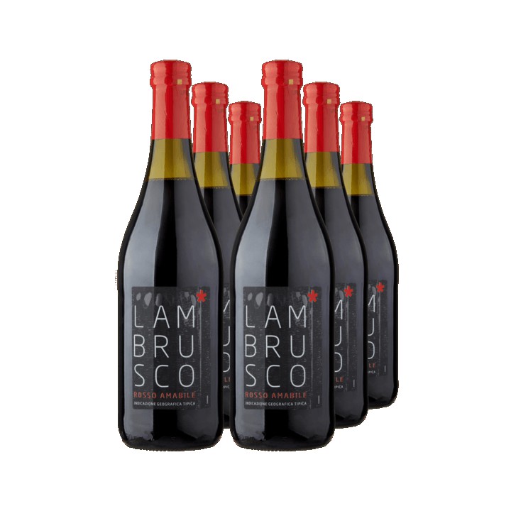 Lambrusco Rosso Amabile 6 x 0,75 Liter