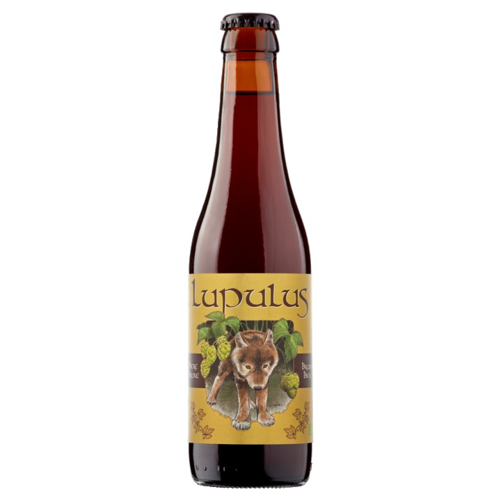 Lupulus - Bruin Bier - Fles - 330ML